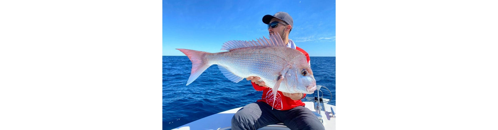 Snapper Season In Hervey Bay