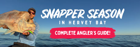 Snapper Season in Hervey Bay: Complete Angler’s Guide