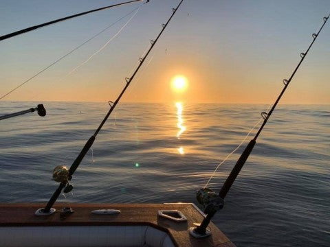 Weekly Fishing Report - 14th November 2019