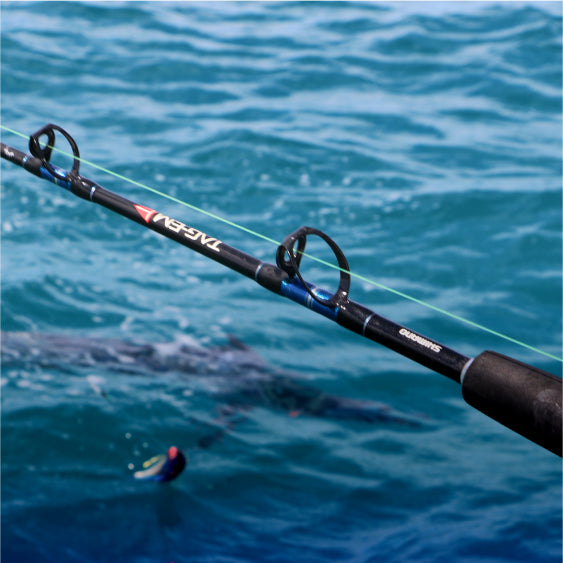 Fishing Rods