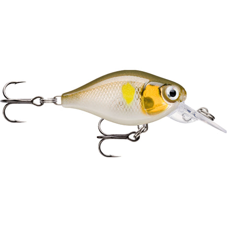 Rapala X-light Crank 35mm 4g Mid Runner Hard Body Lure [cl:ayu]