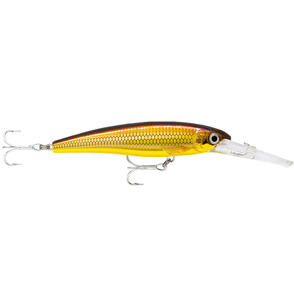 Rapala X-rap Saltwater Deep 110mm 22g Deep Diver Hard Body Lure [cl:golden Alburnus]