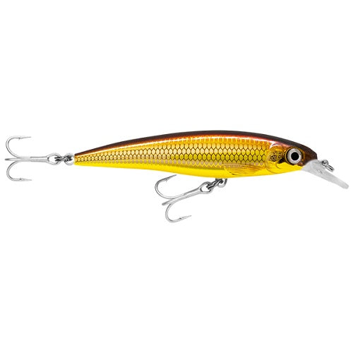 Rapala X-rap Saltwater  Sxr10 100mm 13g Hard Body Lure [cl:golden Alburnus]