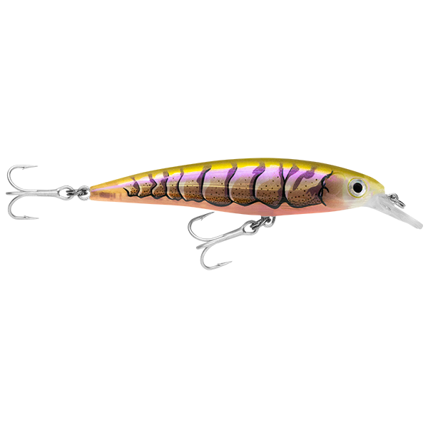 Rapala X-rap Saltwater  Sxr10 100mm 13g Hard Body Lure [cl:purple Prawn]