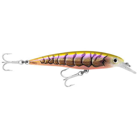 Rapala X-rap Saltwater  Sxr10 100mm 13g Hard Body Lure [cl:purple Prawn]