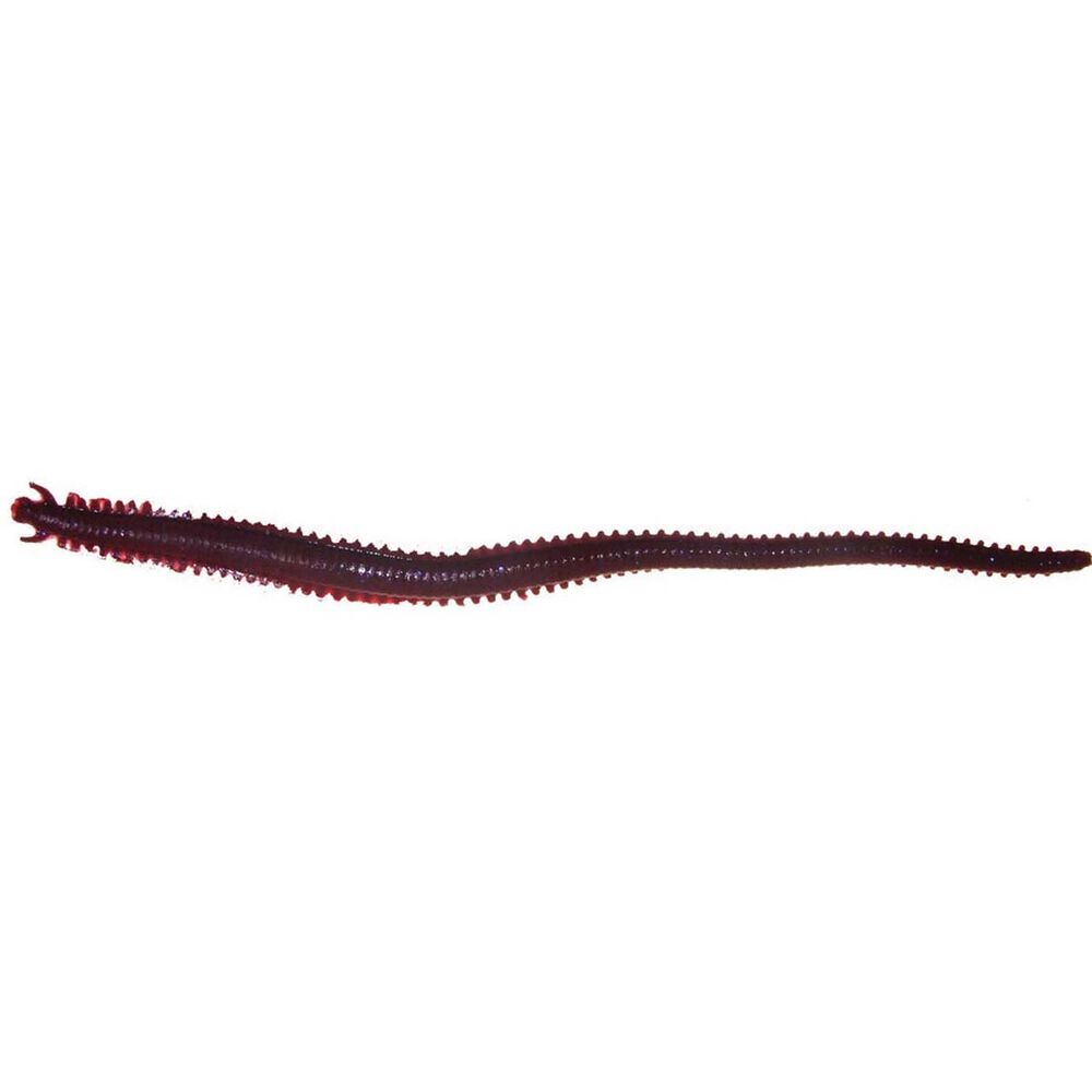 Berkley Gulp 6&quot; Sandworm Soft Plastic Lure