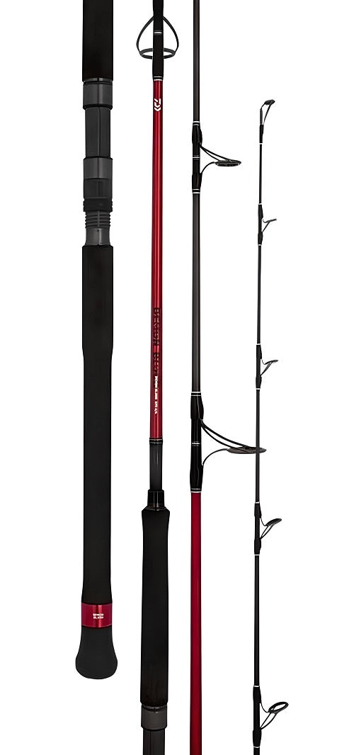 Daiwa 20 Demon Blood Spin Rod [sz:6&#39;4/2pc/pe 2-4/s64-2/4]