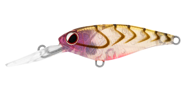 Daiwa Infeet Kodachi 40mm 3g Mid Diver Hard Body Lure [cl:rose Suji]