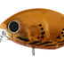 Daiwa Infeet Rolling Crank Mr 32mm 3.6g Hard Body Lure > [cl:orange Crab]