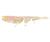 Daiwa Baitjunkie 2.35" Prawn Soft Plastic Lure [cl:opening Night]