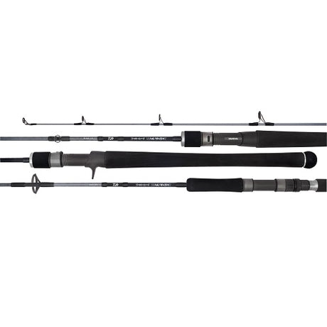 Daiwa 20 Td Saltwater Spinning Rod [sz:6'4"/pe 2-4/1pc/s64-2/4]