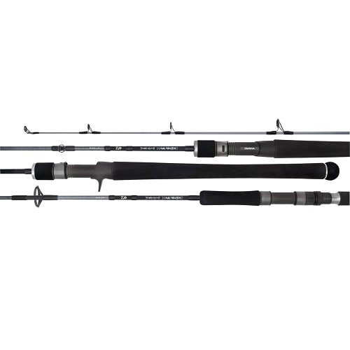 Daiwa 20 Td Saltwater Spinning Rod [sz:6&#39;4&quot;/pe 2-4/1pc/s64-2/4]