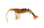 King Brown Lures Killer Prawn 8" Soft Plastic Lure [cl:deadly]