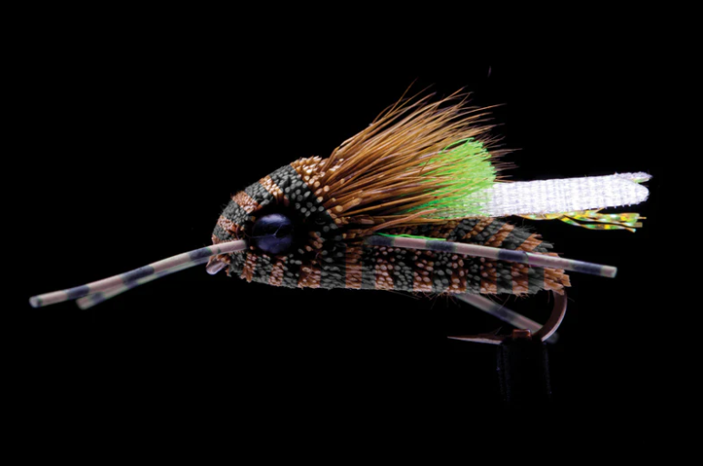 Manic King Cicada Fly Sz 6