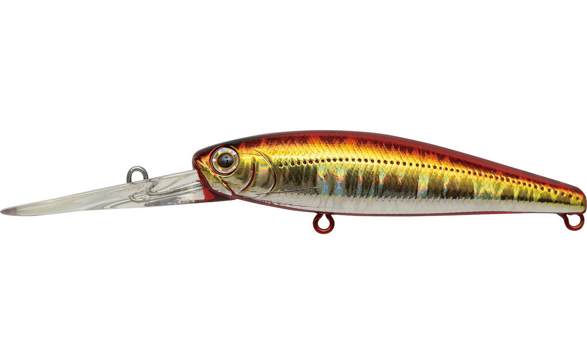 Jackson Jester Minnow 78sf 10g Jerkbait Hard Body Lure [cl:wrd]