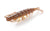 Jackson Puri Ebi 3.25" Soft Plastic Lure