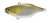 Jackall Tn60 60mm 12.7g Hard Body Vibe Lure