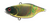 Jackall Tn60 60mm 12.7g Hard Body Vibe Lure