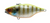 Jackall Tn60 60mm 12.7g Hard Body Vibe Lure