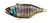 Jackall Tn60 60mm 12.7g Hard Body Vibe Lure