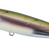 Duo Realis Pencil 110mm 20.5g Floating Stickbait Lure [cl:komochi Wakasgai]