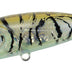 Duo Pocopoco 40f 3g Popper Lure [cl:tiger Shrimp]