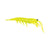 Pro Lure Clone Prawn 62mm Soft Plastic Lure > [cl:chartreuse Uv]