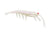 Pro Lure Clone Prawn 92mm Soft Plastic Lure [cl:raw Prawn]