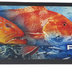 Profishent Bar Mat [cl:coral Trout Red Emperor]