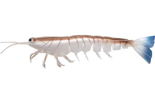 Irukandji Megaprawn 165mm Soft Plastic Lure [cl:blood N Bone]