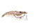 Chasebaits King Flick Prawn 180mm Soft Plastic Lure [cl:jelly Prawn]