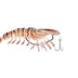 Chasebaits King Flick Prawn 180mm Soft Plastic Lure [cl:tiger Prawn]