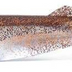 Cast Prodigy 3" Soft Plastic Lure [cl:blood Shadow]