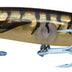 Classic Barra Ghost 120mm +10 Hard Body Lure [cl:tiger Lily]