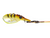 Tt Switchprawn+ 37mm 5.5g Metal Vibe Lure