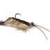 Zman Prawnz Elite 3.5" Pre-rigged Soft Plastic Lure [cl:natural Prawn]