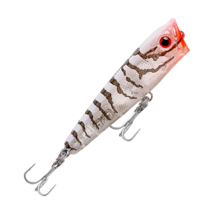 Fishcraft Snoop Pop 65mm 7g Popper Lure [cl:clear Tiger]