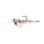 Samaki Live Shrimp 70mm Soft Plastic Lure [cl:tiger Pearl - 2pk]