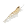 Fishcraft Dr Prawn 3" Soft Plastic Lure