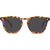 Liive Manhattan Polarised Sunglasses (matt Tort)