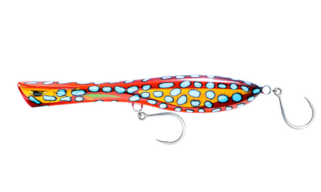 Nomad Dartwing 165mm 40g Popper Lure [cl:coral Trout]