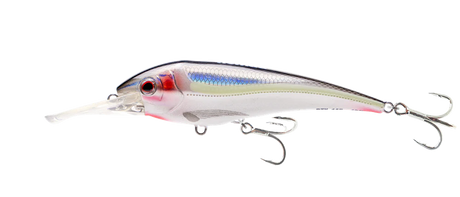 Nomad Dtx Minnow 145mm 56g Deep Diver Hard Body Lure [cl:bleeding Mullet]