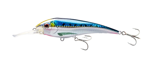 Nomad Dtx Minnow 145mm 56g Deep Diver Hard Body Lure [cl:sardine]