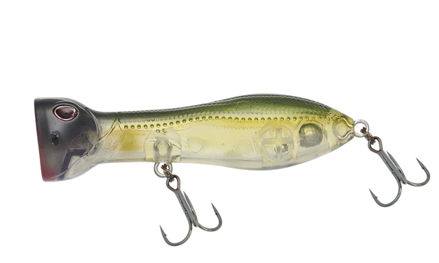 Nomad Chug Norris 72mm 10g Popper Lure [cl:ayu]